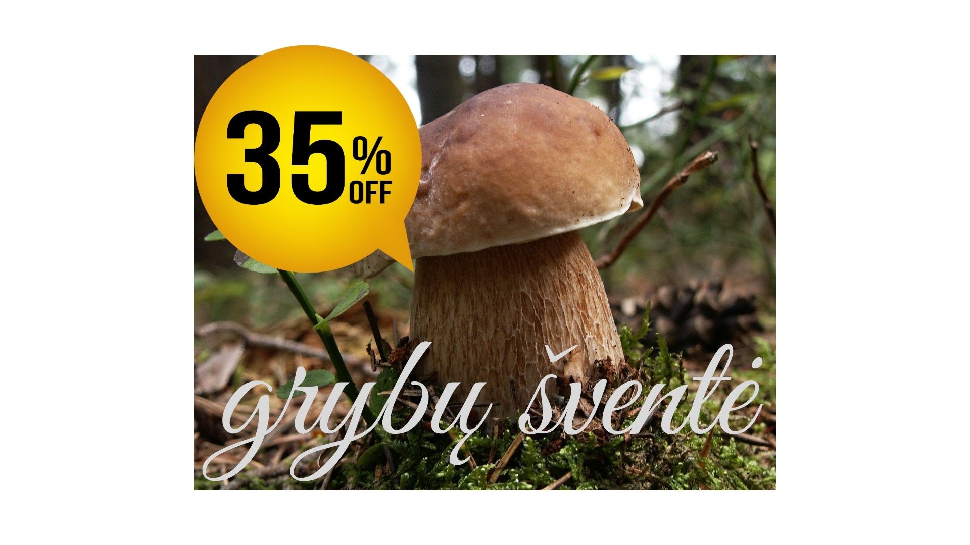 Grybų šventė akcija